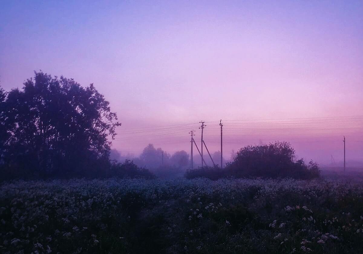 开云官网-替补登场又伤退!队报:登贝莱退出本期法国国家队